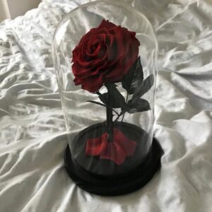 Éternelle Élégance